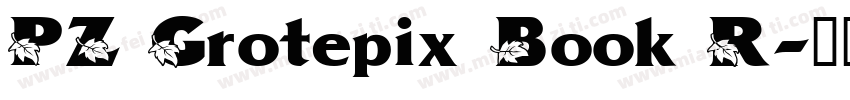 PZ Grotepix Book R字体转换